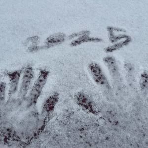 Meet your Posher, Jayden